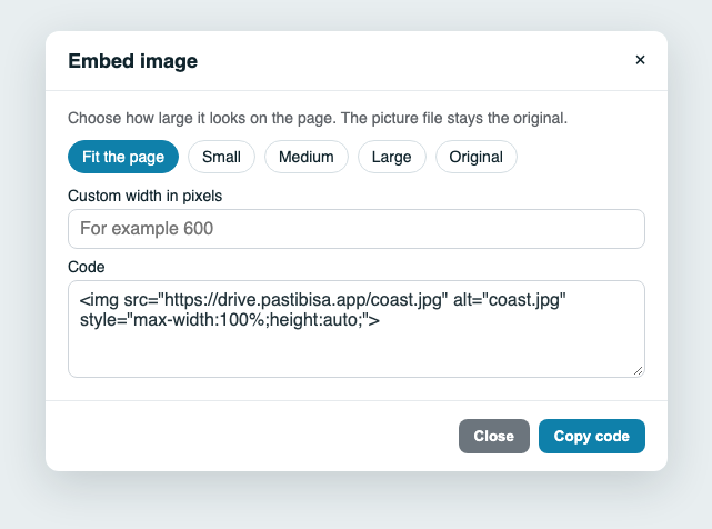 Embed dialog with Fit the page selected, plus Small, Medium, Large, Original, and a custom width